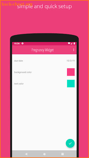 Pregnancy Widget screenshot