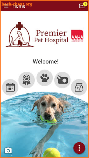 Premier Pet Hospital screenshot