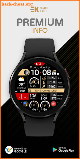 Premium Info - Watch Face screenshot