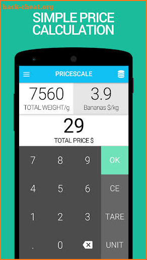 Price Scale Lite digital scale screenshot