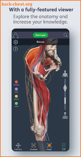 Primal’s 3D Human Anatomy Quiz screenshot