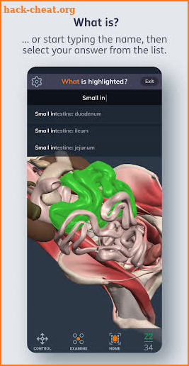 Primal’s 3D Human Anatomy Quiz screenshot