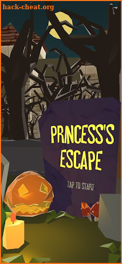 Princess`s Escape screenshot