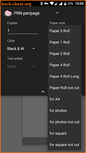 Printer driver for PeriPage A6. Paid version screenshot