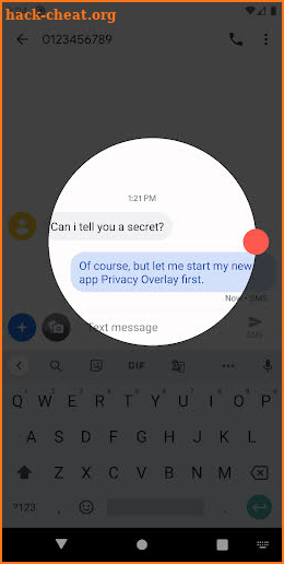 Privacy Overlay screenshot
