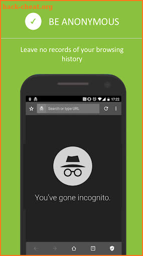 Private Browser & Incognito Browser screenshot