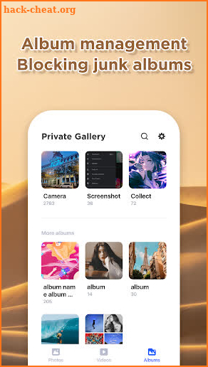 Private Gallery - Photo Vault screenshot