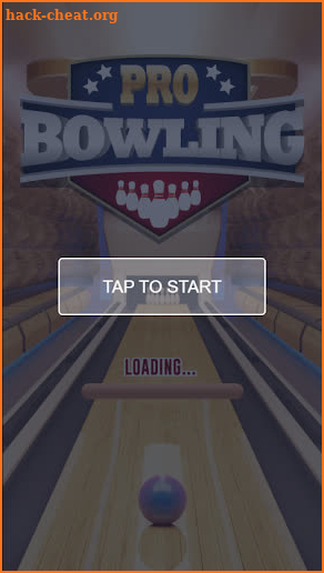 Pro Bowling 3D Game screenshot