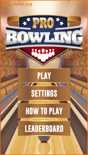 Pro Bowling 3D Game screenshot