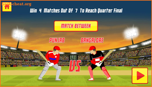 Pro Cricket Tournament - Cricket Game screenshot