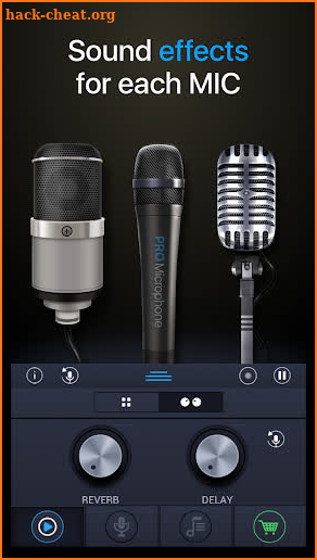 Pro Microphone screenshot