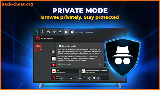 Pro TV: TV Web Browser screenshot