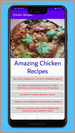 Professional chicken Recipes screenshot