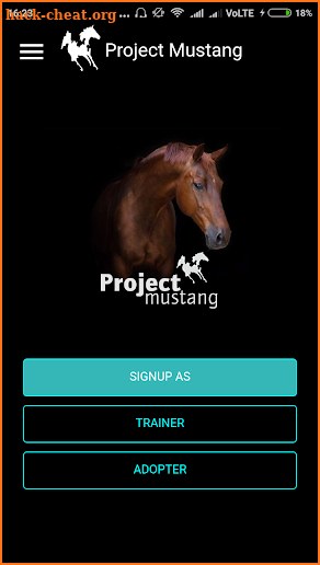 Project Mustang screenshot