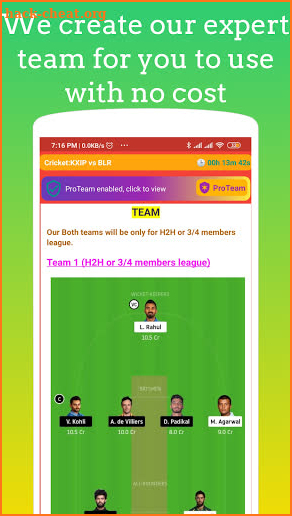 ProTeam11 - Tips for Dream11, My11Circle, MyTeam11 screenshot