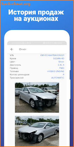 Проверка авто по базе МВД Украины screenshot