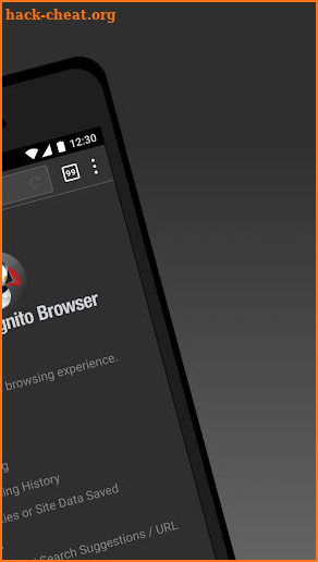 Puffin Incognito Browser screenshot