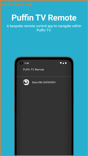 Puffin TV Remote screenshot