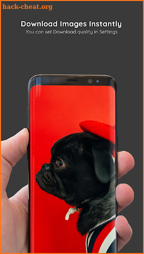 Pug Wallpapers 4K Pro Pug Backgrounds screenshot