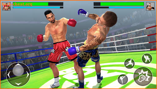 Punch Boxing Fighter: Ninja Karate Warrior screenshot