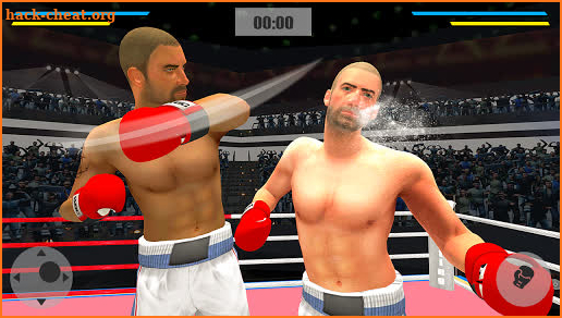 Punch Boxing  Mega Star 3D screenshot