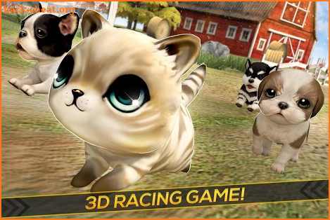 Puppies! Kitties and Dogs Race screenshot