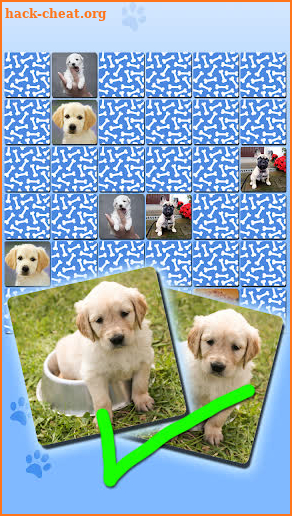 Puppy Games Kids - Cool Puppies for Cool Kids screenshot