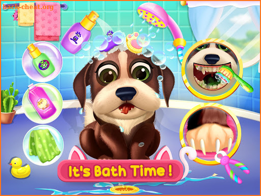 Puppy Pet Care Daycare Salon screenshot