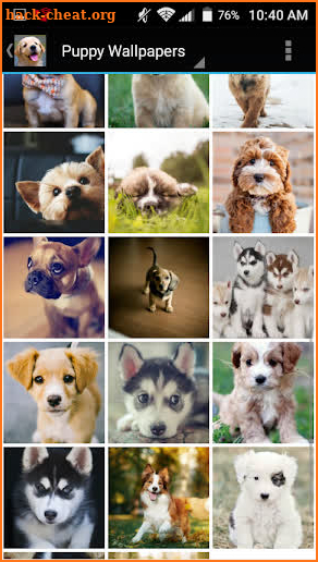 Puppy Wallpapers screenshot