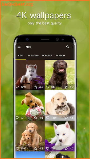 Puppy Wallpapers 4K screenshot