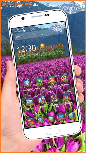 Purple Tulips Flower Garden Theme screenshot