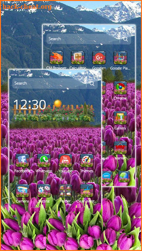 Purple Tulips Flower Garden Theme screenshot