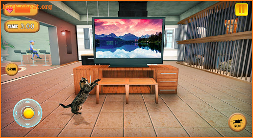 Pussycats Kitten Game: Cat sim 2021 screenshot