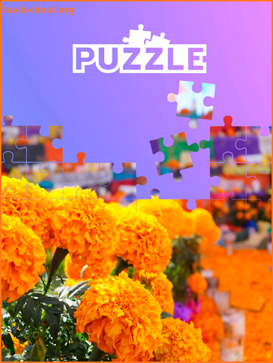 Puzzle flores screenshot