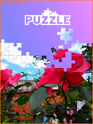 Puzzle flores screenshot