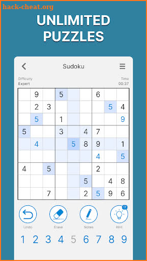 Puzzle Hub screenshot