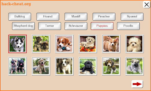 Puzzles and Guess the Breed of Dogs screenshot