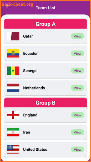 Qatar FIFA World Cup 2022 screenshot