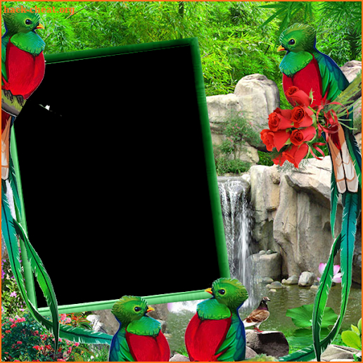 Quetzal Insta DP screenshot