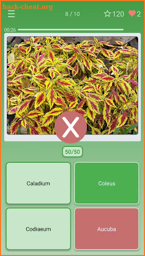 Quiz: Flowers, Plants screenshot