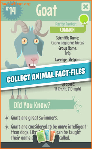 Quiz Owl's Animal Trivia - Free Animal Facts Game screenshot
