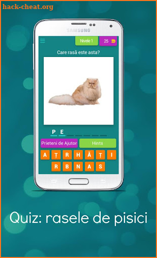 Quiz: rasele de pisici 🇷🇴 screenshot