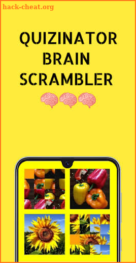 QUIZINATOR BRAIN SCRAMBLER screenshot