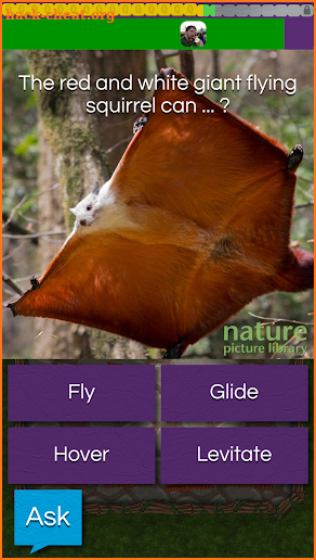 QuizTix: Animal Pics Trivia - Nature Image Library screenshot