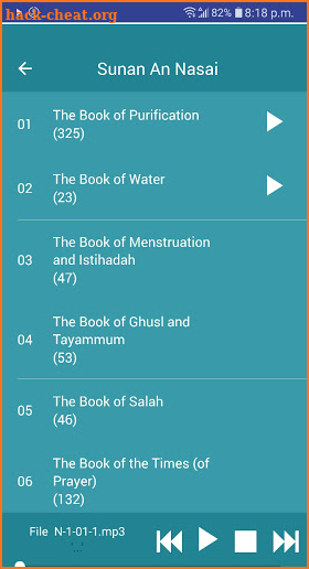 Quran and Hadith Audio Collection (QNS Academy) screenshot