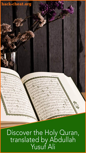 Quran Yusuf Ali screenshot