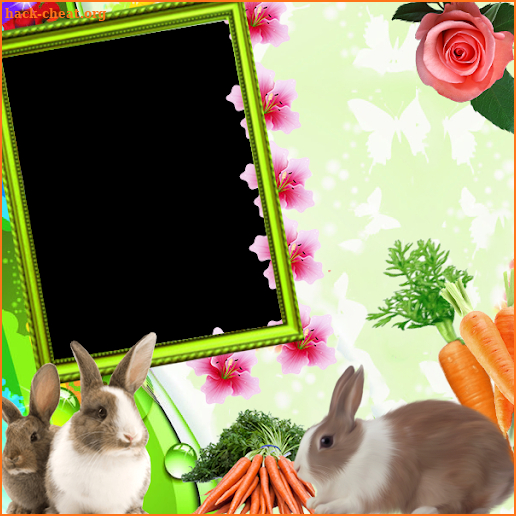 Rabbit Insta DP screenshot