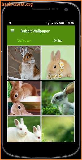 Rabbit Wallpaper screenshot