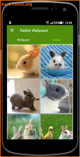 Rabbit Wallpaper screenshot