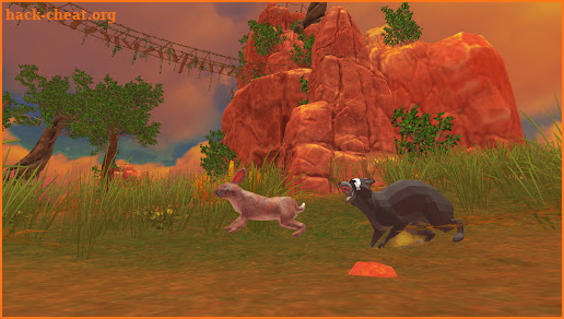 Raccoon Forest Wildlife Sim screenshot